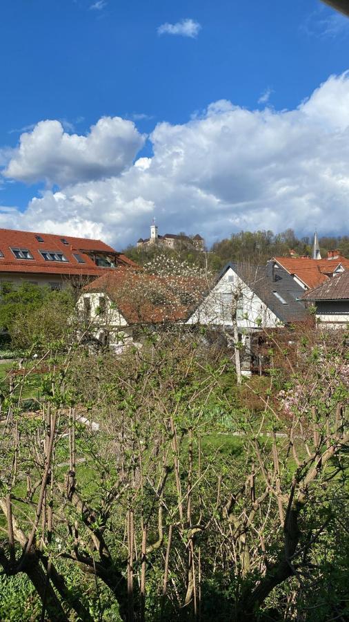 Arto Castle View Apartment Ljubljana Kültér fotó